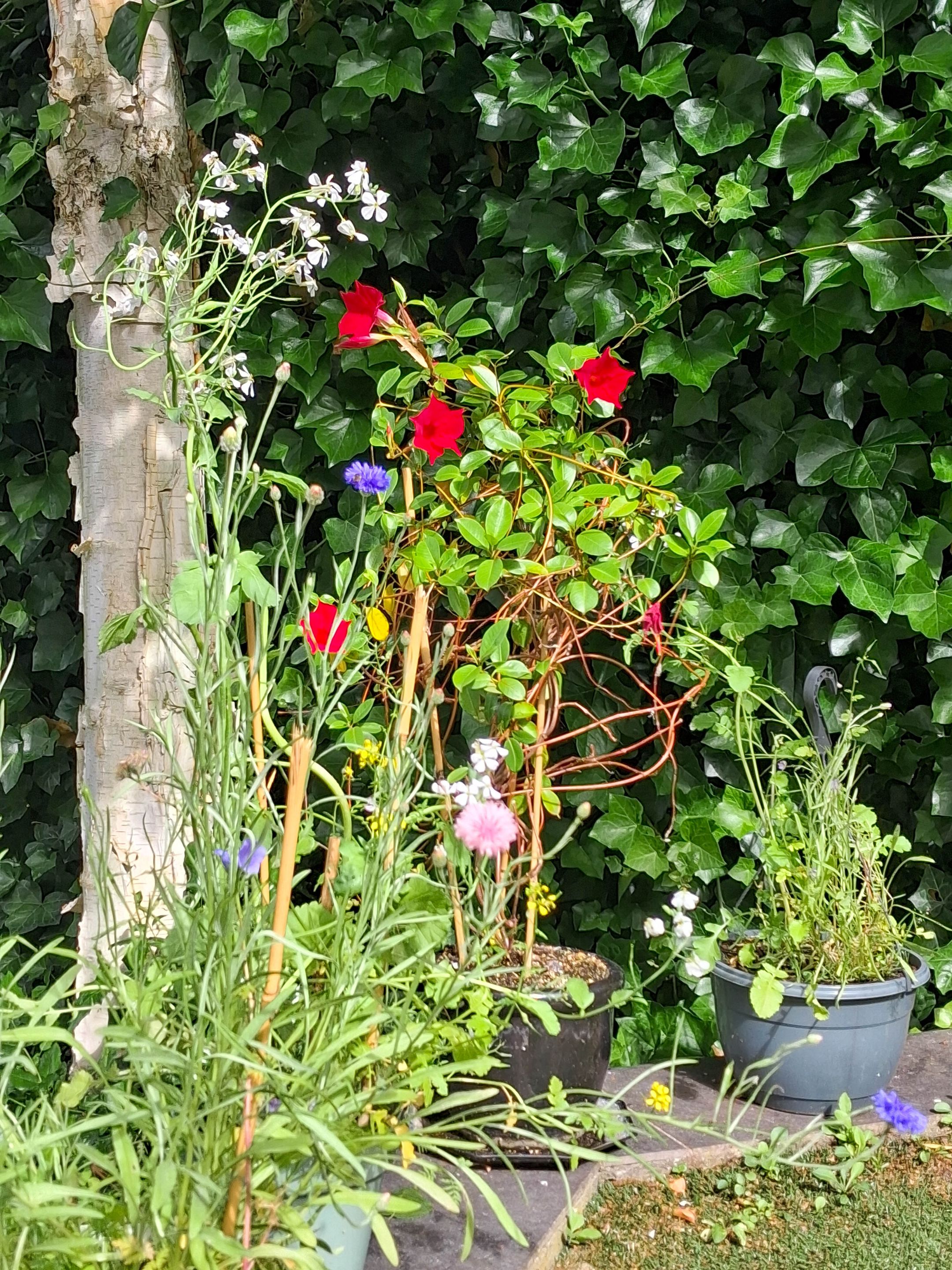 Foto 51 van Rijksweg 60