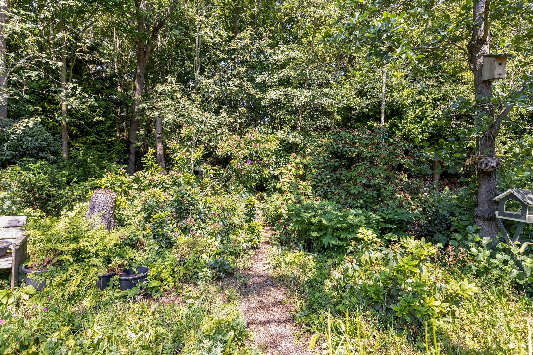 Photo 45 of Hoge Hilleweg 37