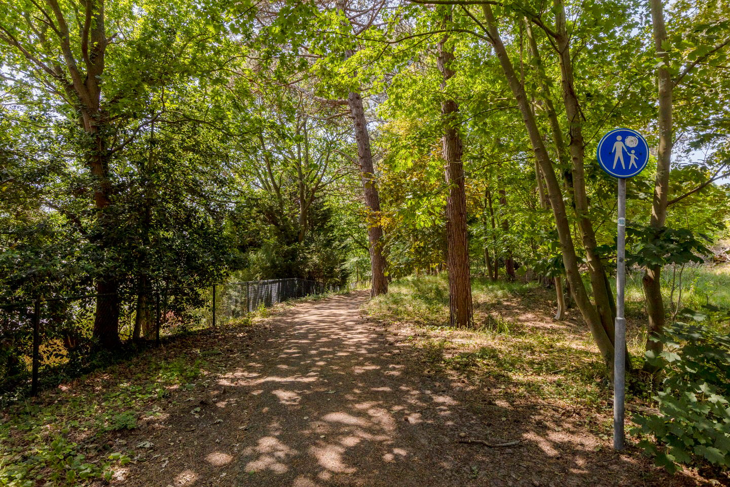 Photo 50 of Hoge Hilleweg 37