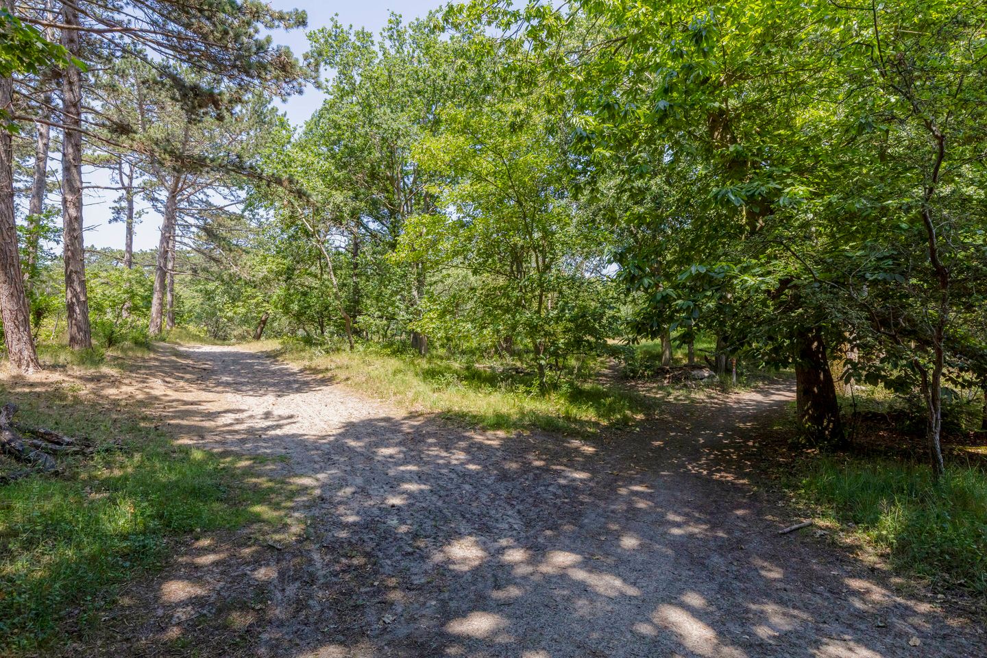 Photo 49 of Hoge Hilleweg 37