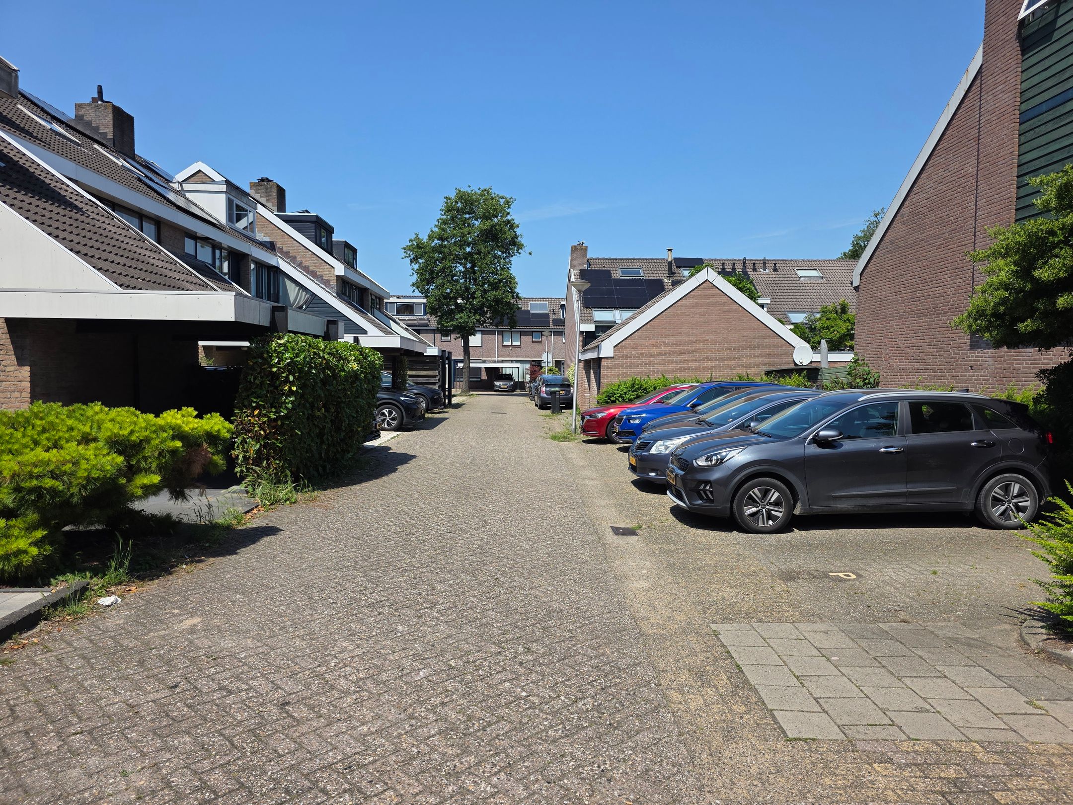 Photo 12 of Schildmos 22