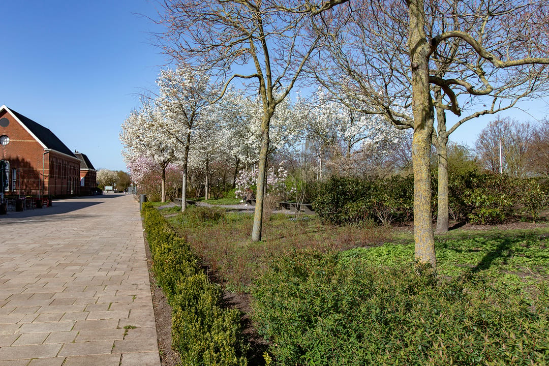 Foto 43 van Van der Duijnstraat 75