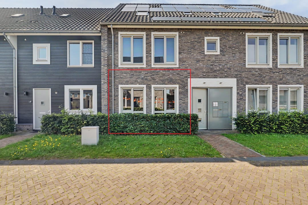 Foto 1 van Aardbei 16