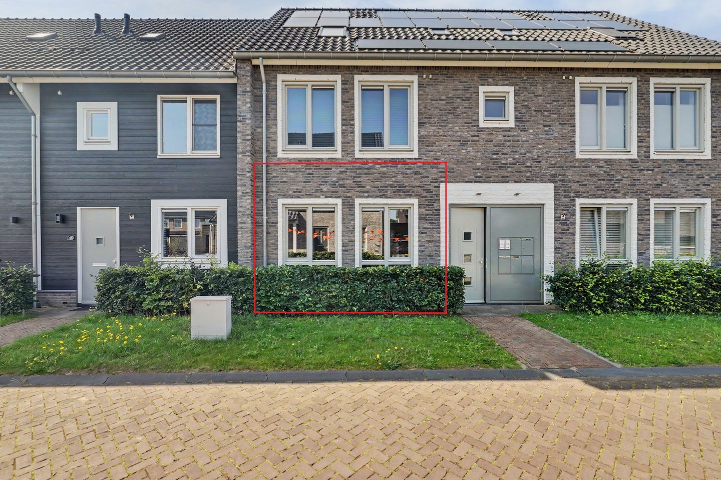 Foto 1 van Aardbei 16