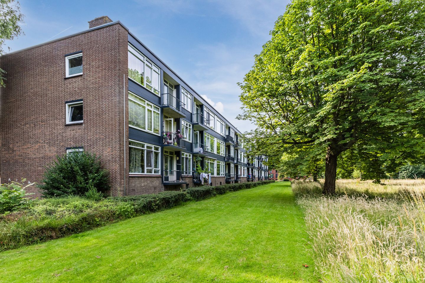 Photo 5 of Wijnruitstraat 85