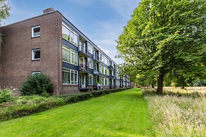 Photo 5 of Wijnruitstraat 85
