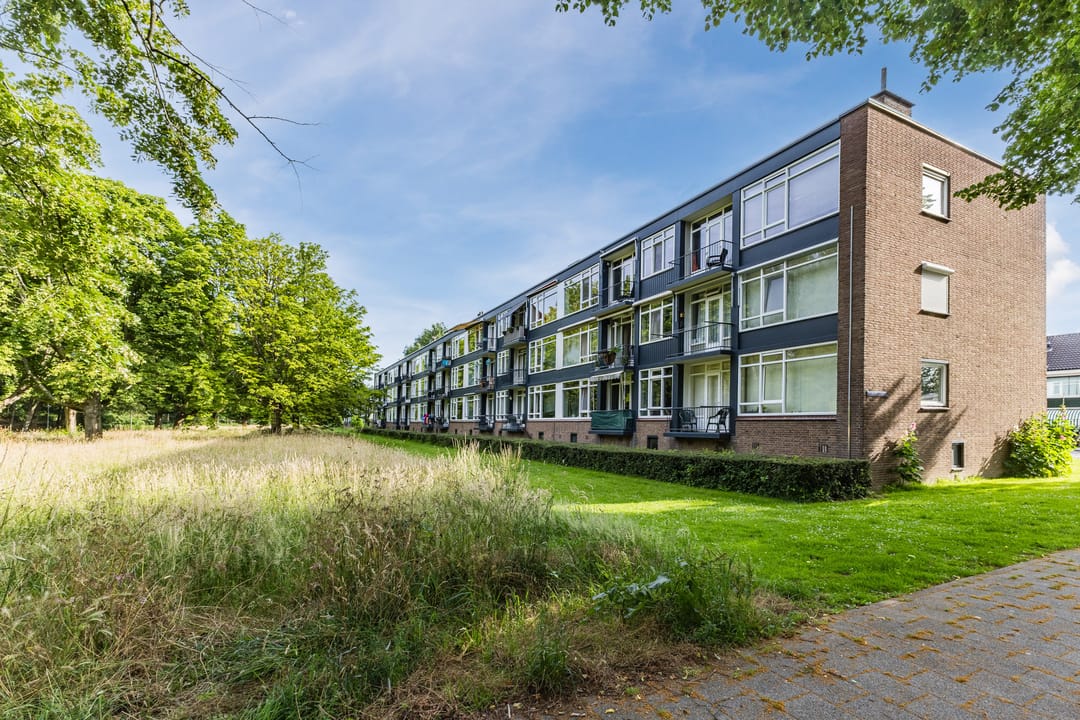 Photo 38 of Wijnruitstraat 85
