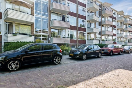 Adriaan van Ostadestraat thumbnail