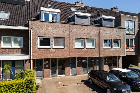 Paardenbloemsingel thumbnail