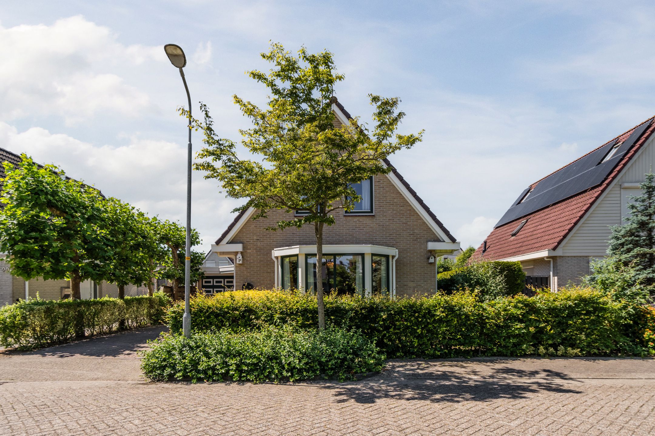 Foto 42 van Zwanebloem 88