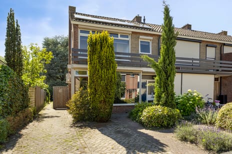 Herman ten Catestraat thumbnail