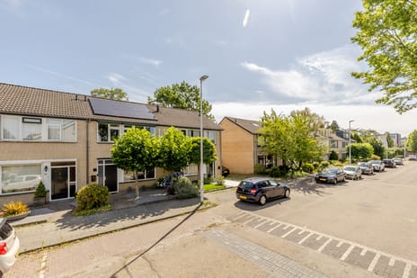 Frans Halsstraat thumbnail