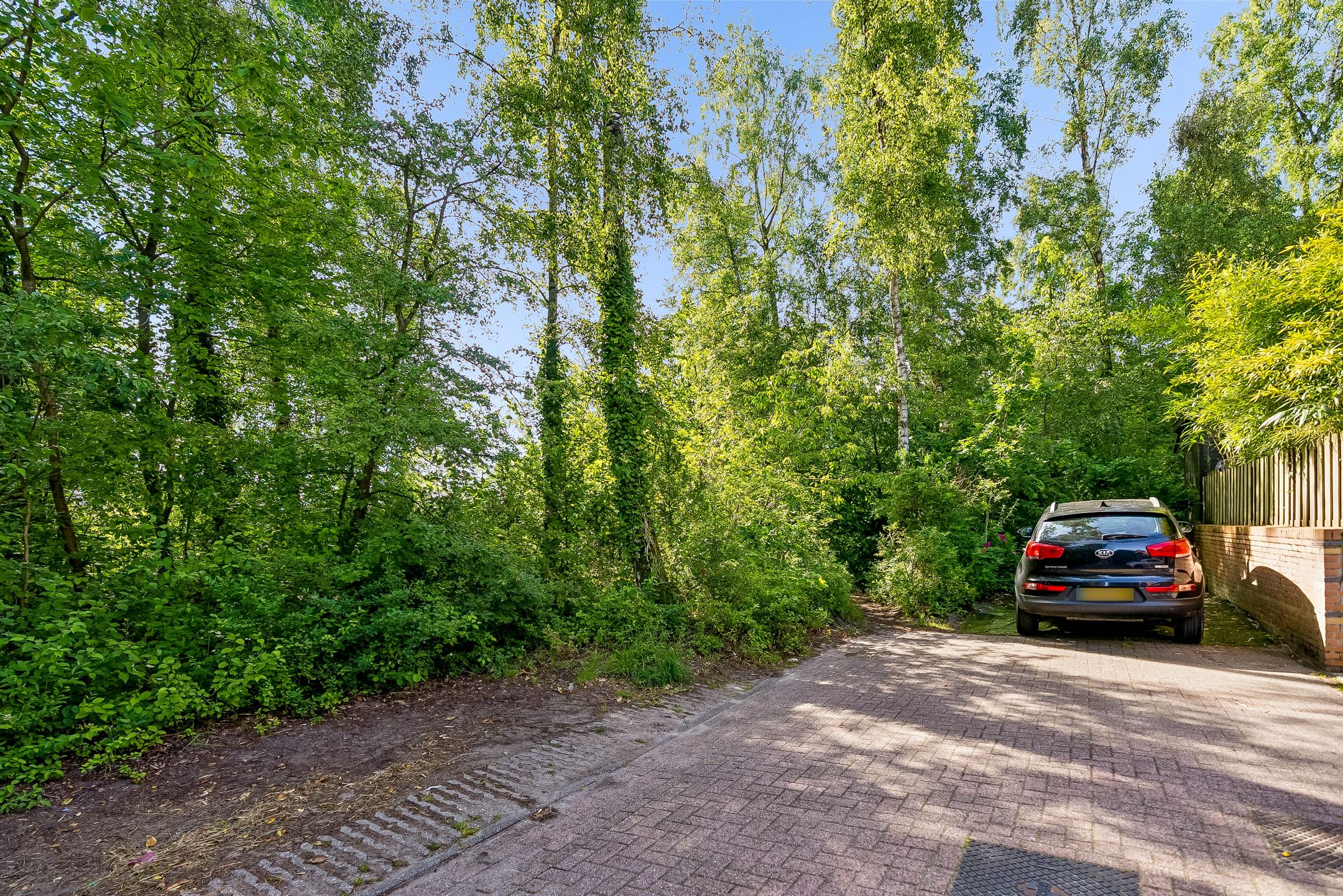 Foto 54 van Atalanta 130