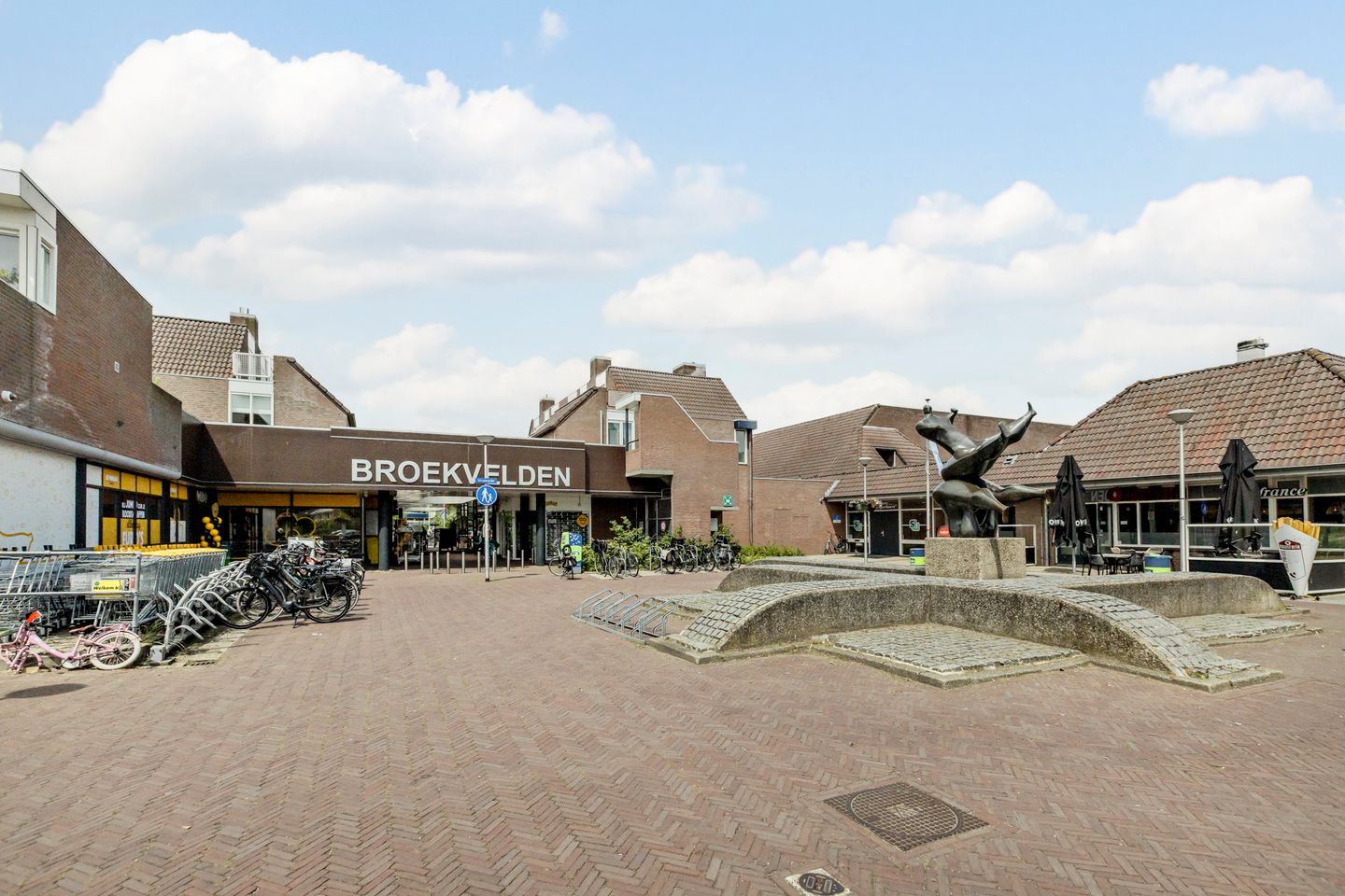 Foto 44 van Zwenkgras 7