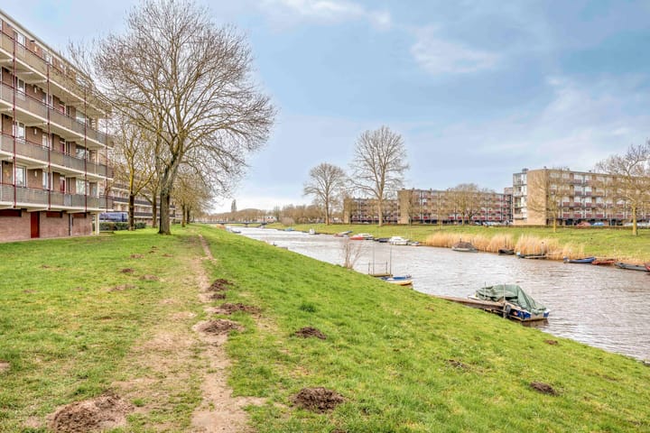 Foto 4 van Maassingel 378