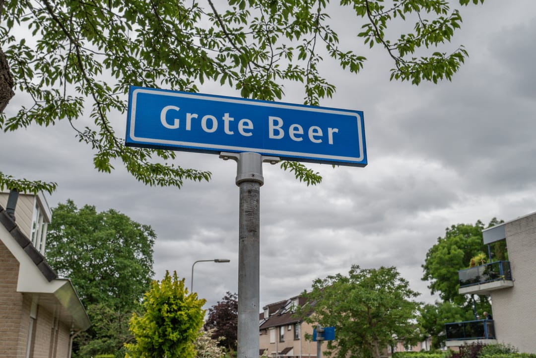 Foto 41 van Grote Beer 6