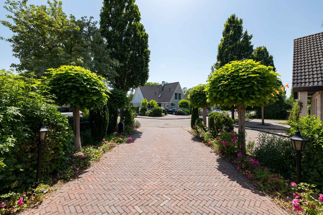Photo 76 of Montanusstraat 8
