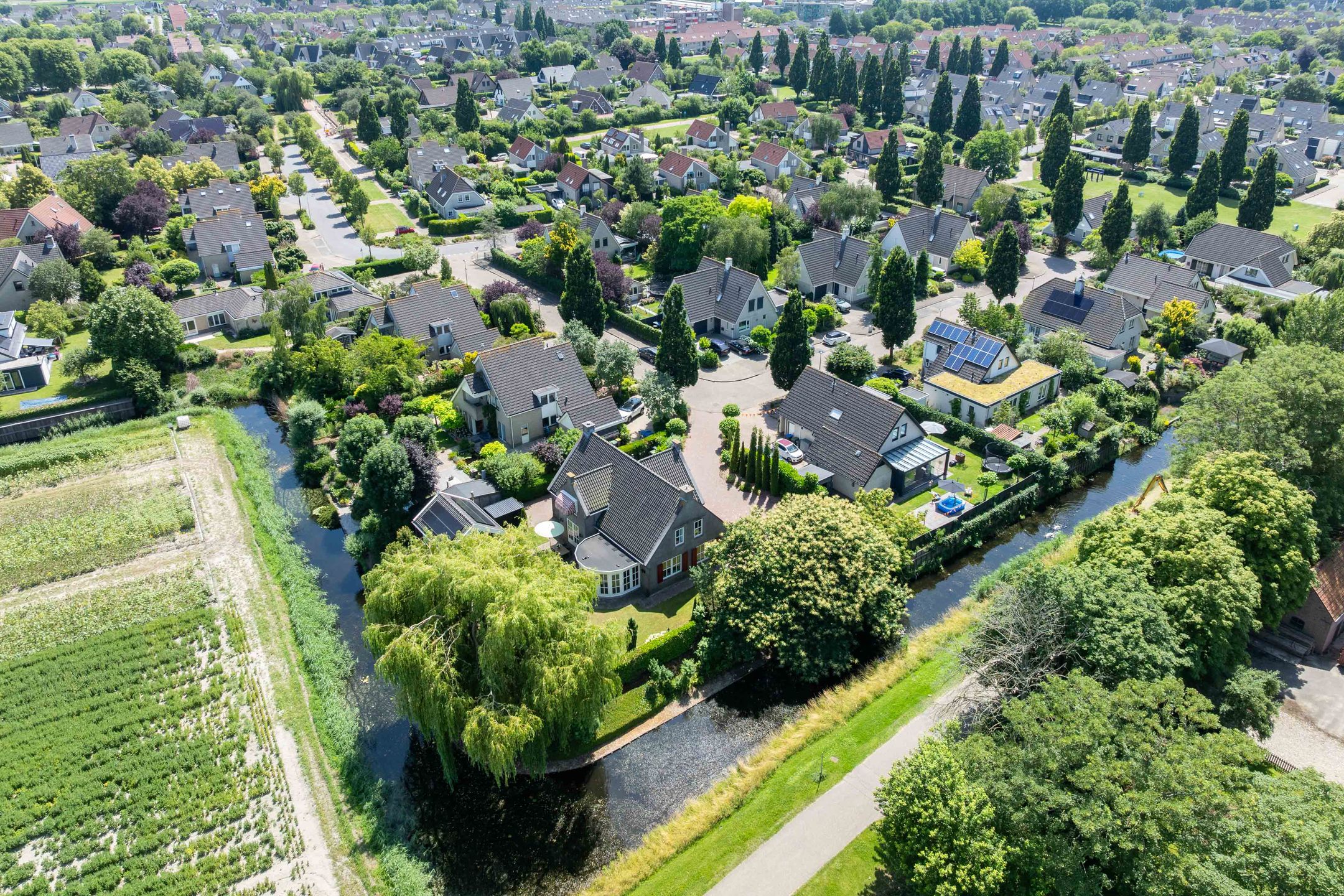 Photo 6 of Montanusstraat 8