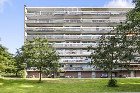 Zangvogelweg thumbnail