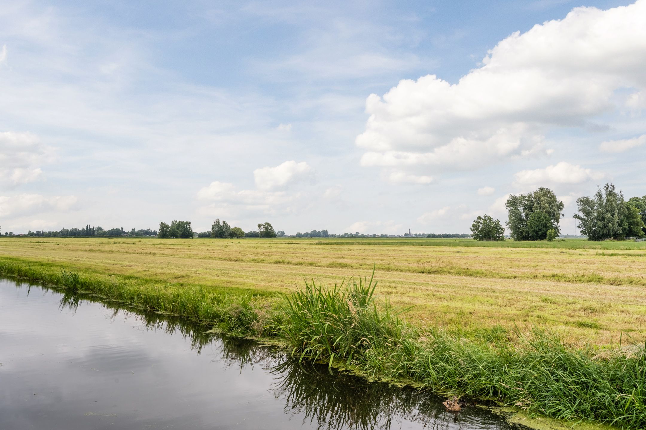 Photo 51 of Patrijshof 8