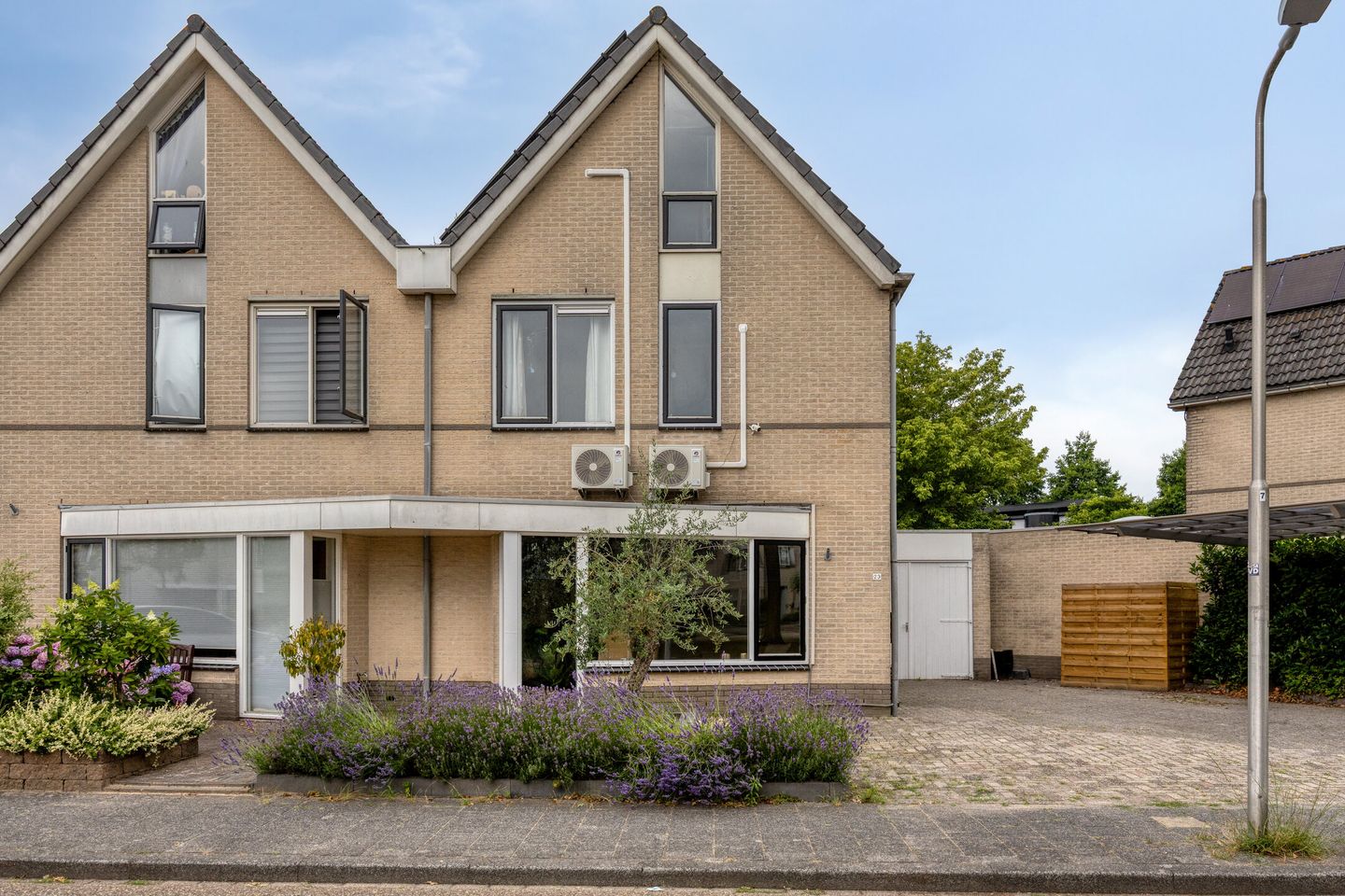Foto 4 van Zilverdistel 23
