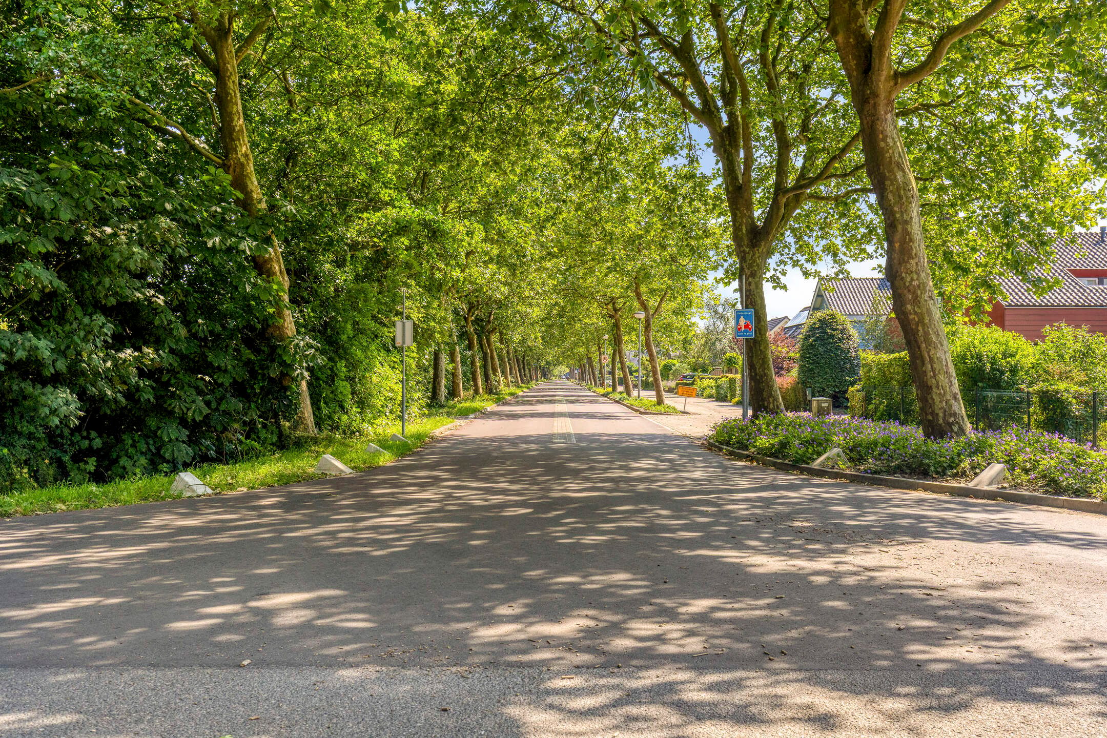 Foto 48 van Dergmeerweg 57