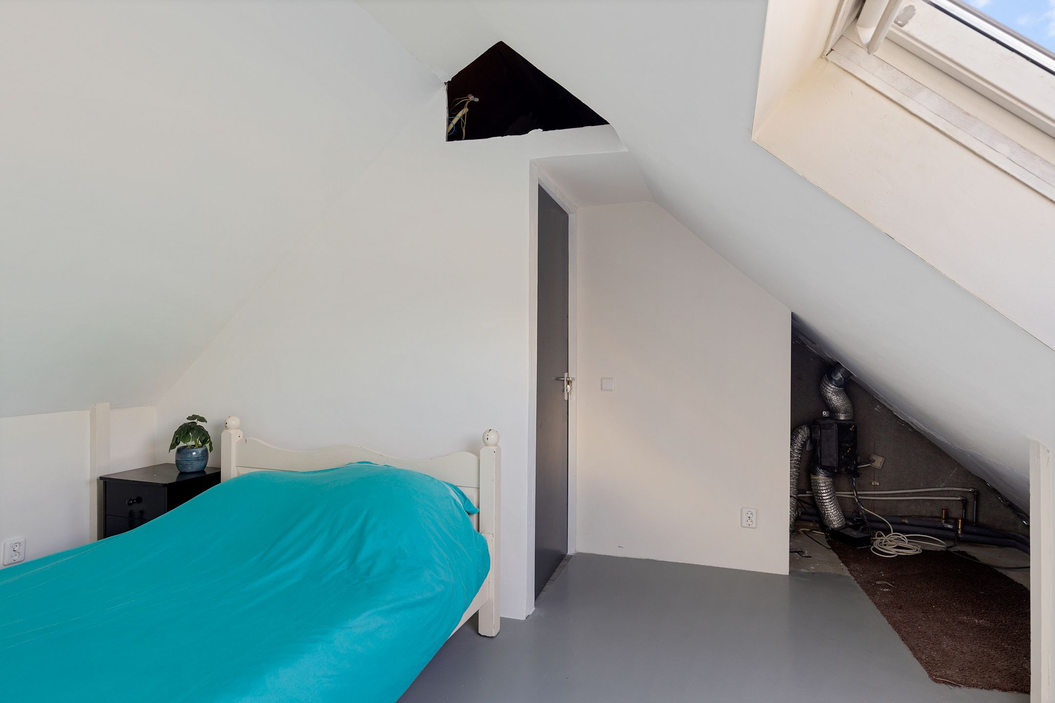 Photo 33 of Duizendblad 11
