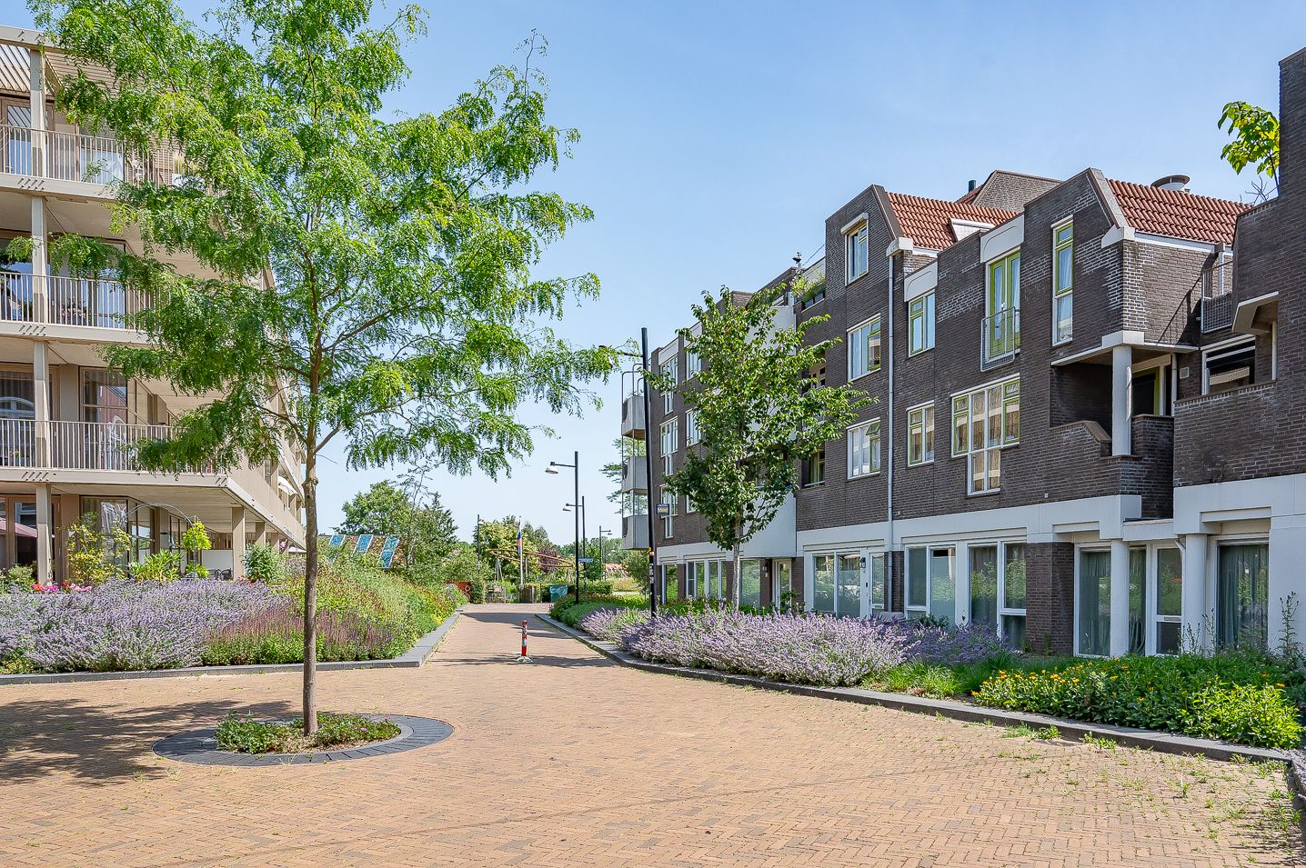 Photo 6 of Schouwburgplein 50