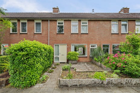 Bouwluststraat thumbnail