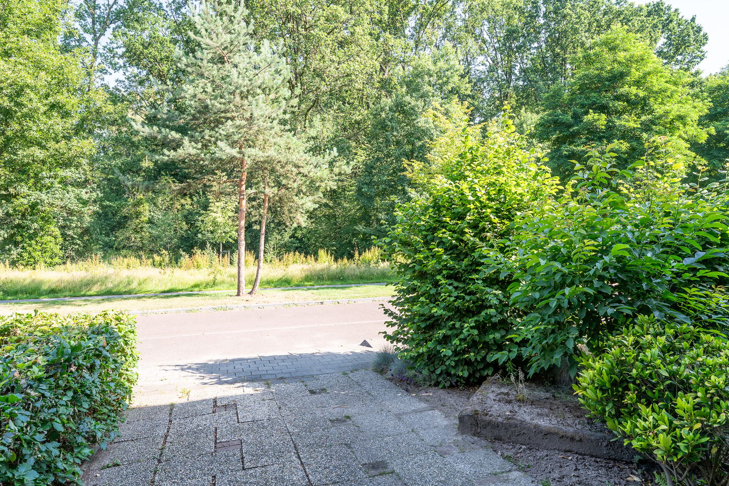 Photo 4 of De Twijnder 53