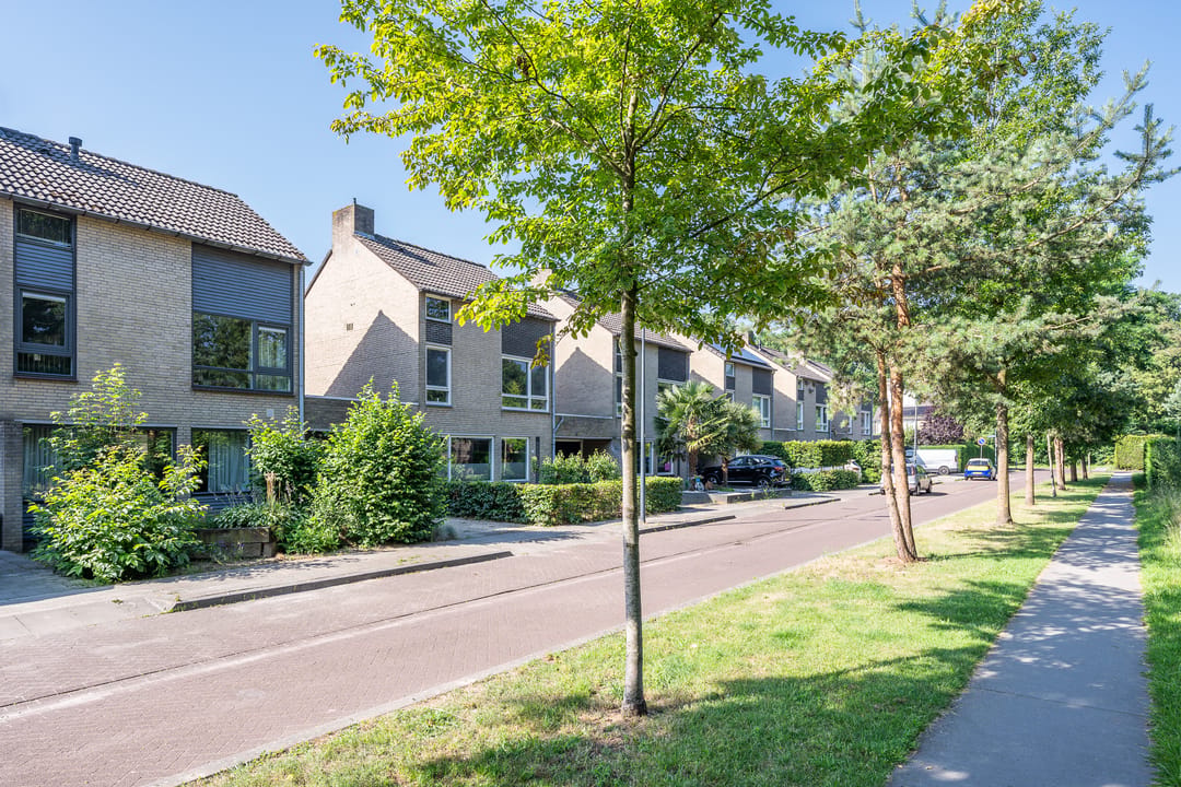 Photo 38 of De Twijnder 53