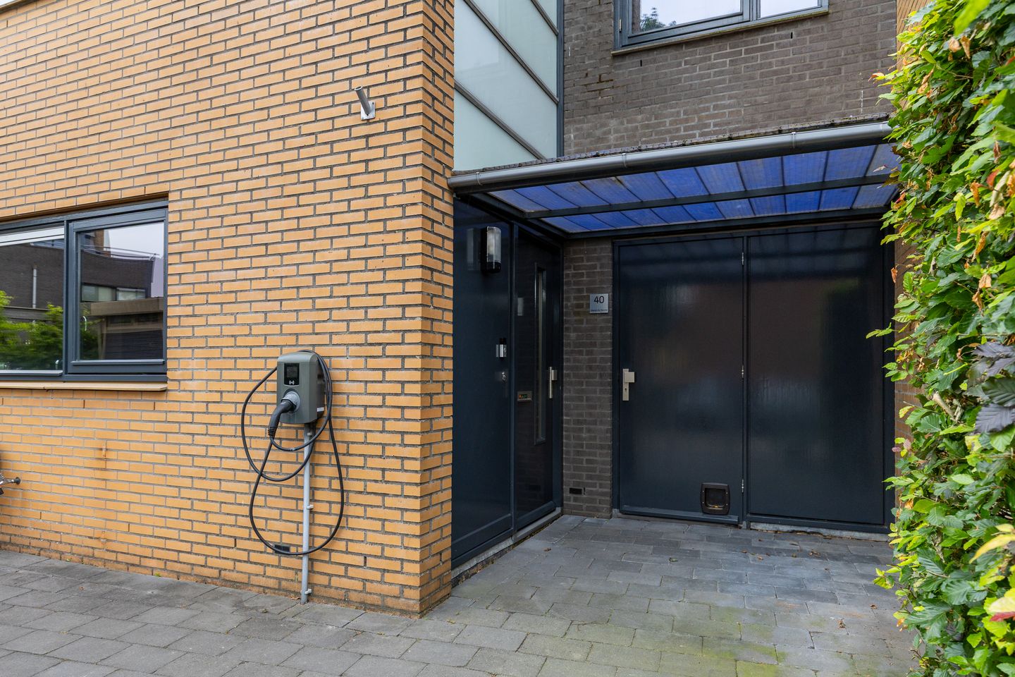Foto 5 van Gele Plomp 40