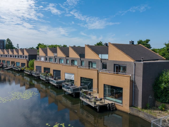 Foto 4 van Gele Plomp 40