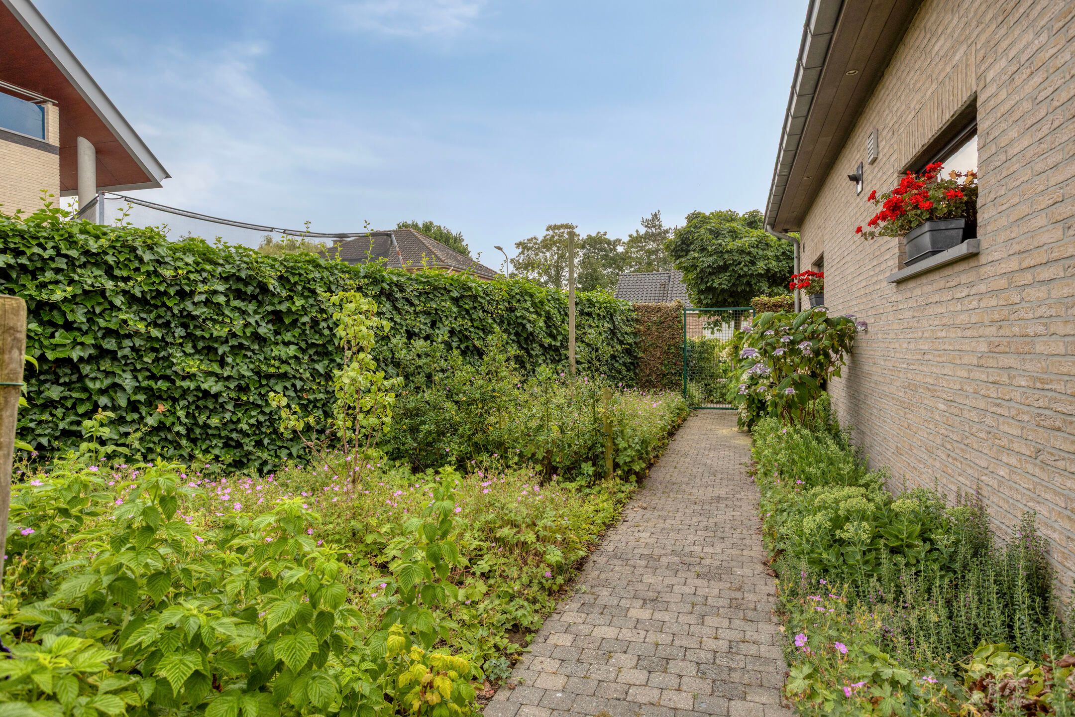 Photo 36 of Cuwaertstraat 7