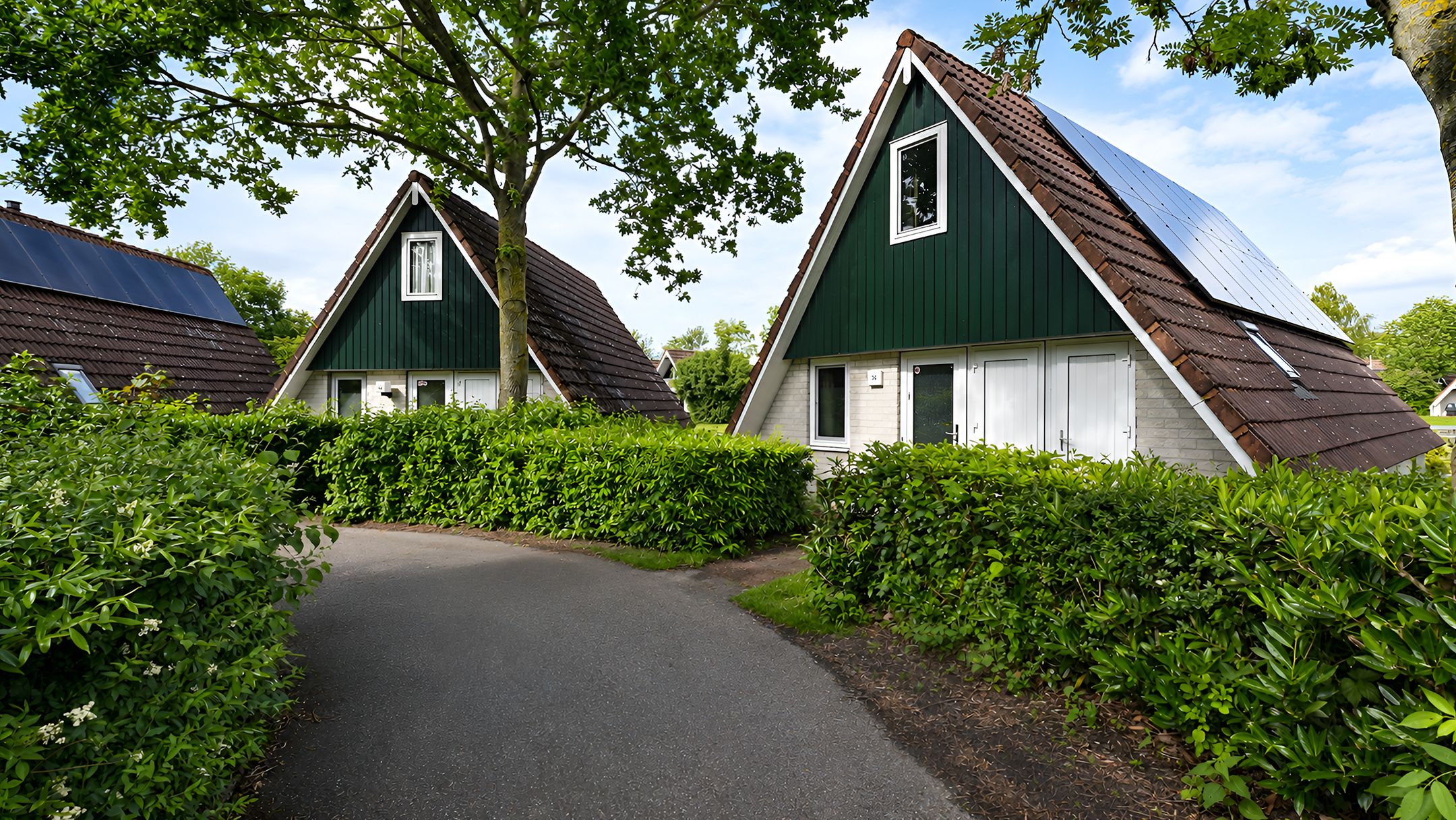 3-bedroom freehold villa in Gramsbergen — photo 5 of 5