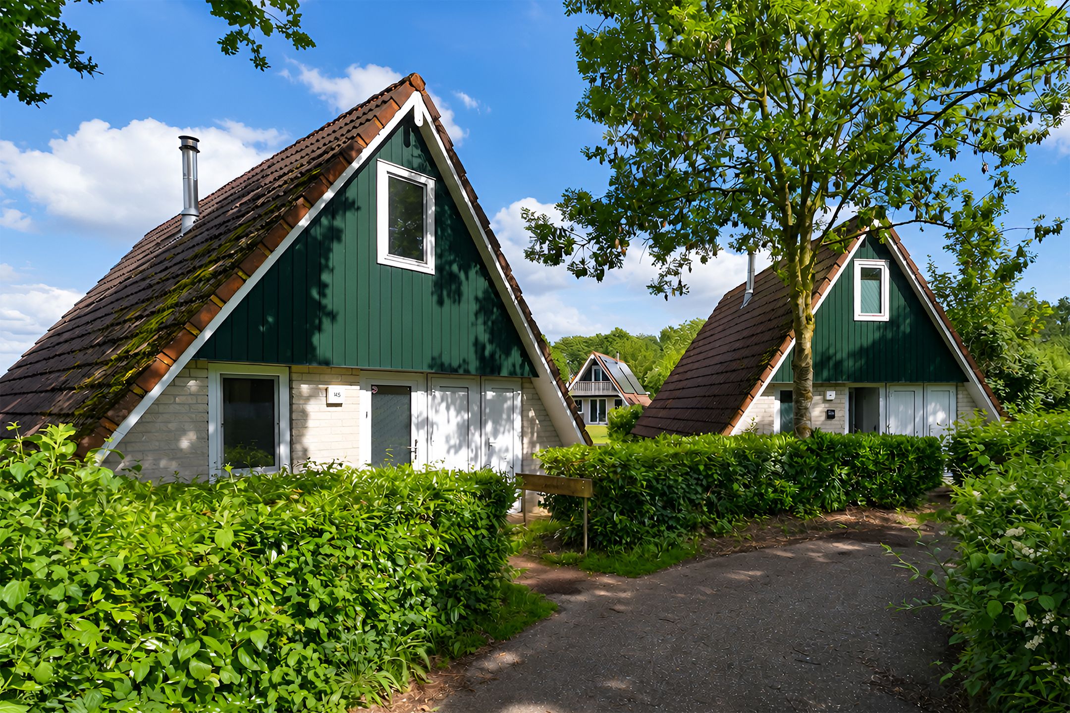 3-bedroom freehold villa in Gramsbergen — photo 4 of 5