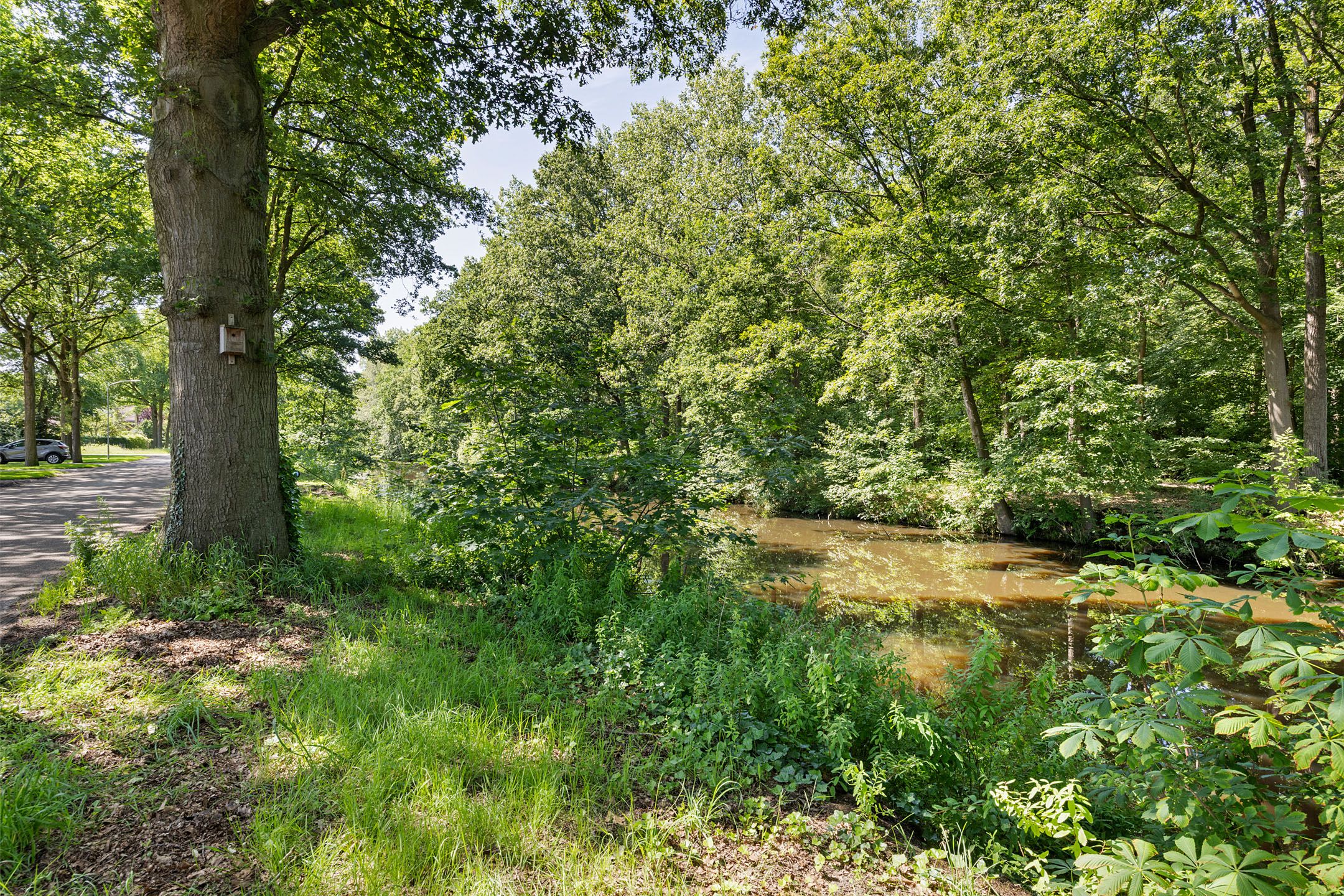 Foto 45 van Ruiten A kanaal Zuid 19