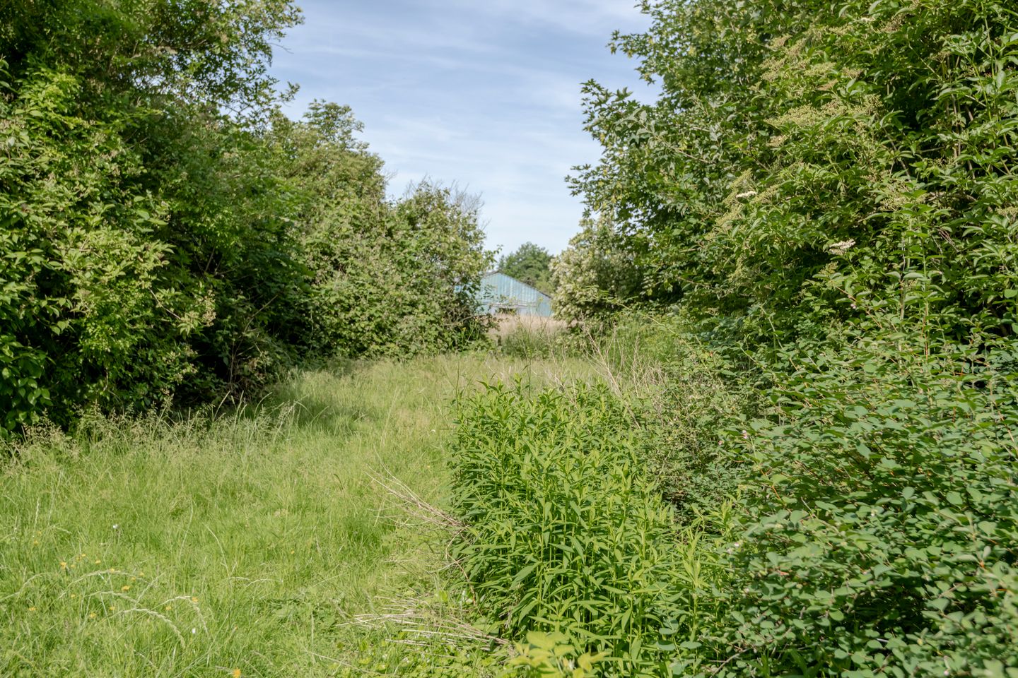 Foto 49 van Wakkerendijk 226-A