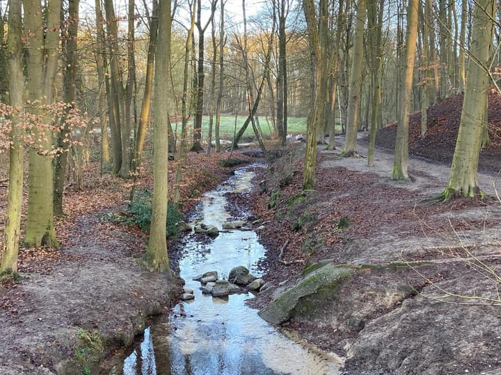 Vrijstaande woning te koop: Schelmseweg 101, Oosterbeek