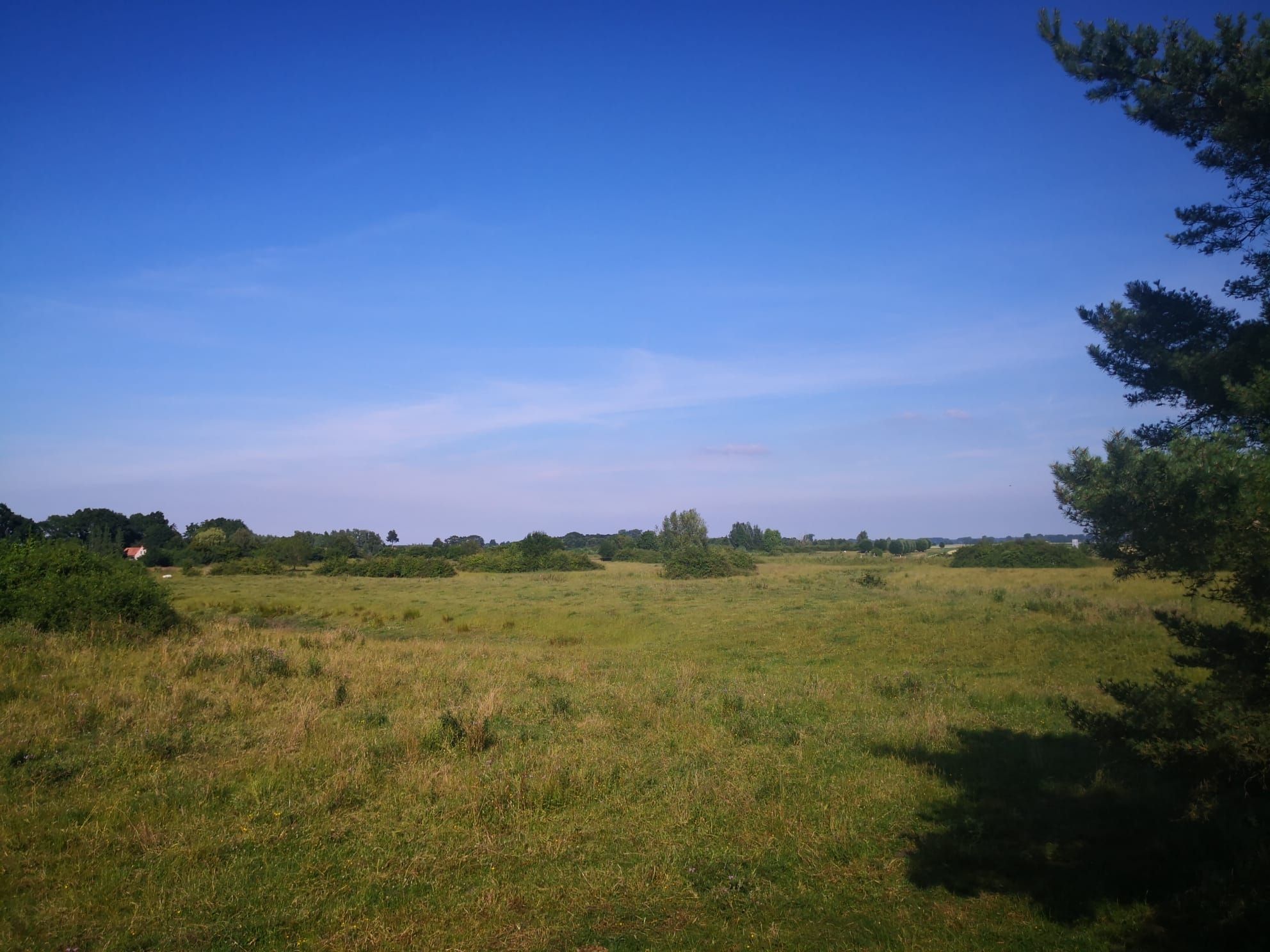 Foto 3 van Smedekensbrugge 3