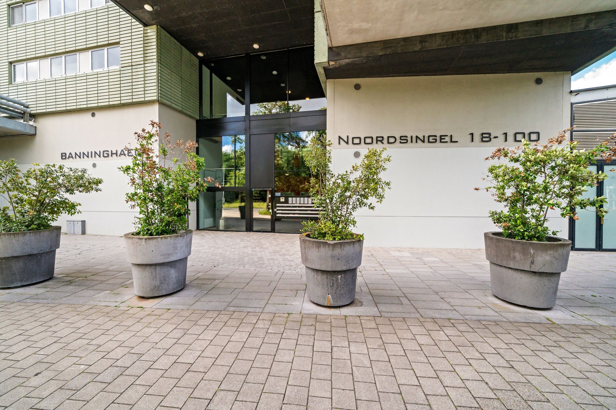 Photo 6 of Noordsingel 74