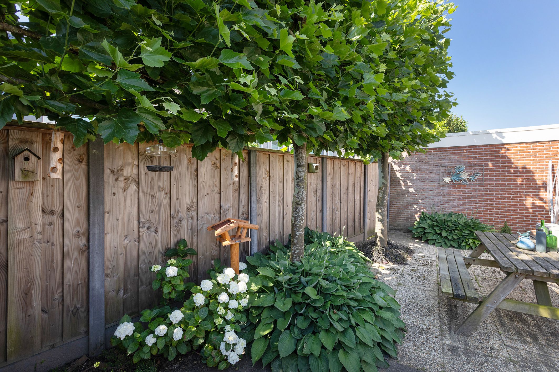 Photo 33 of Patrijsstraat 42
