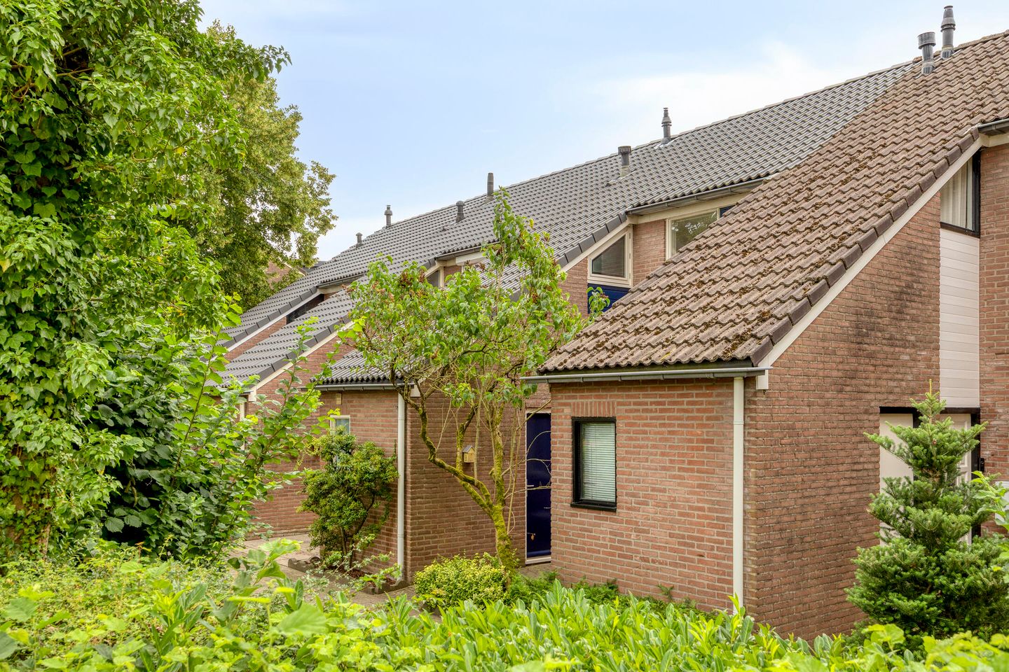 Foto 40 van Katwoudehof 28