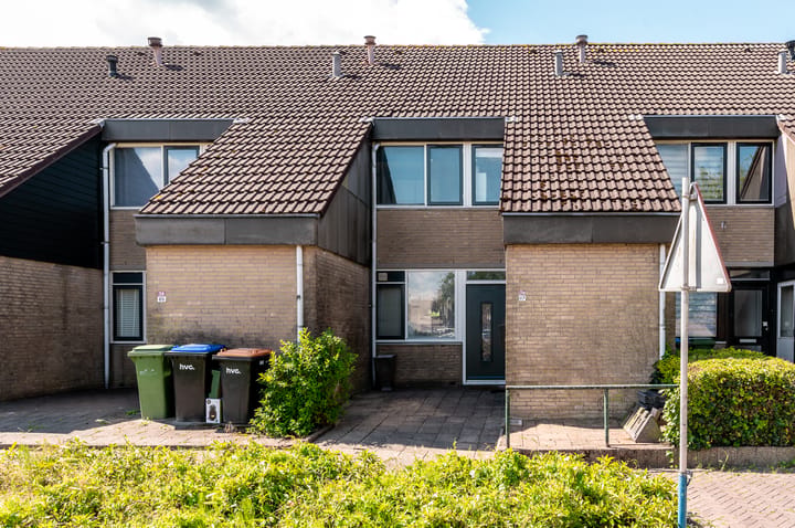 Schouw 38 7