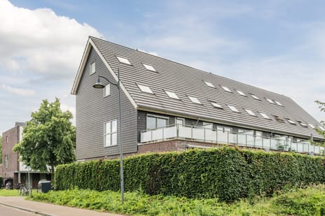 Zijdevlinder thumbnail