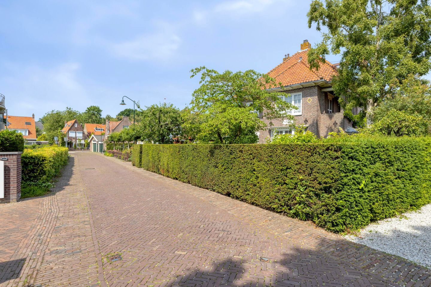 Foto 65 van Vrije 42
