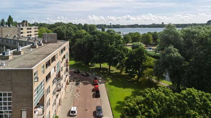 Schapendreef 353