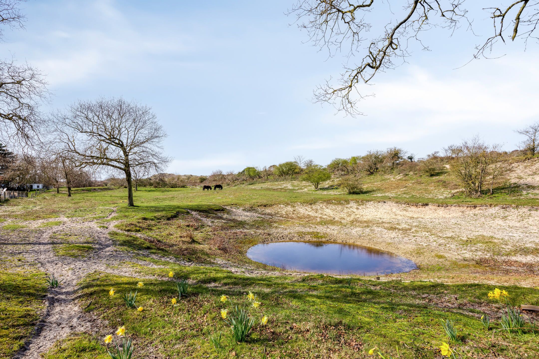 Photo 42 of Duinweg