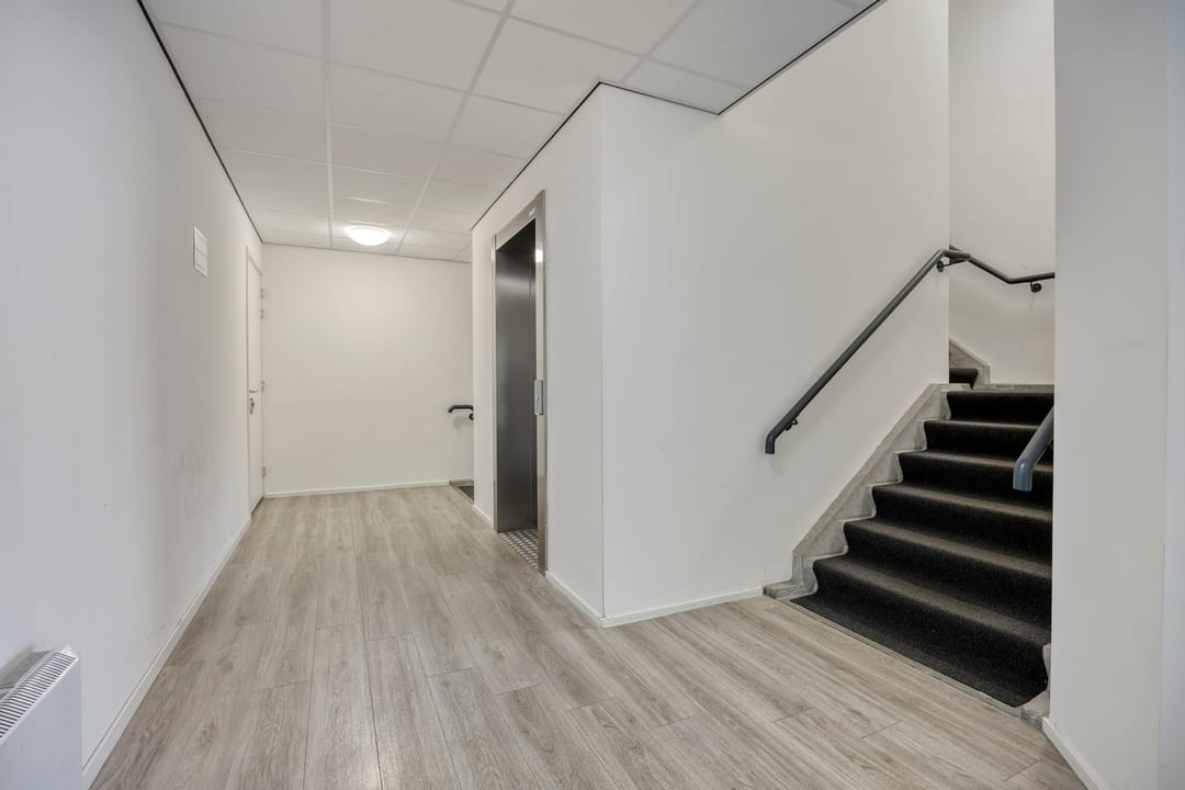 Photo 8 of Promenade 317