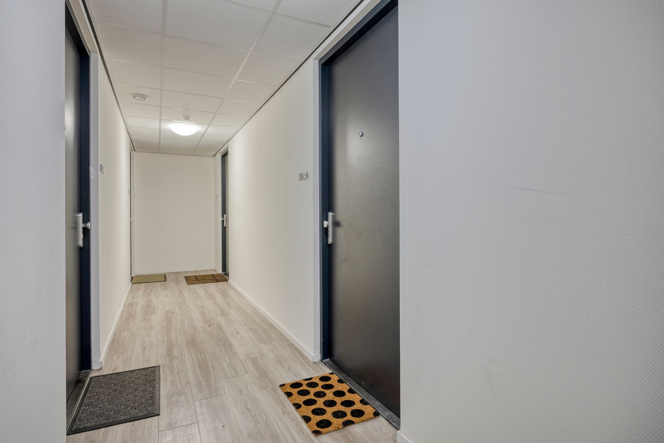 Photo 33 of Promenade 317